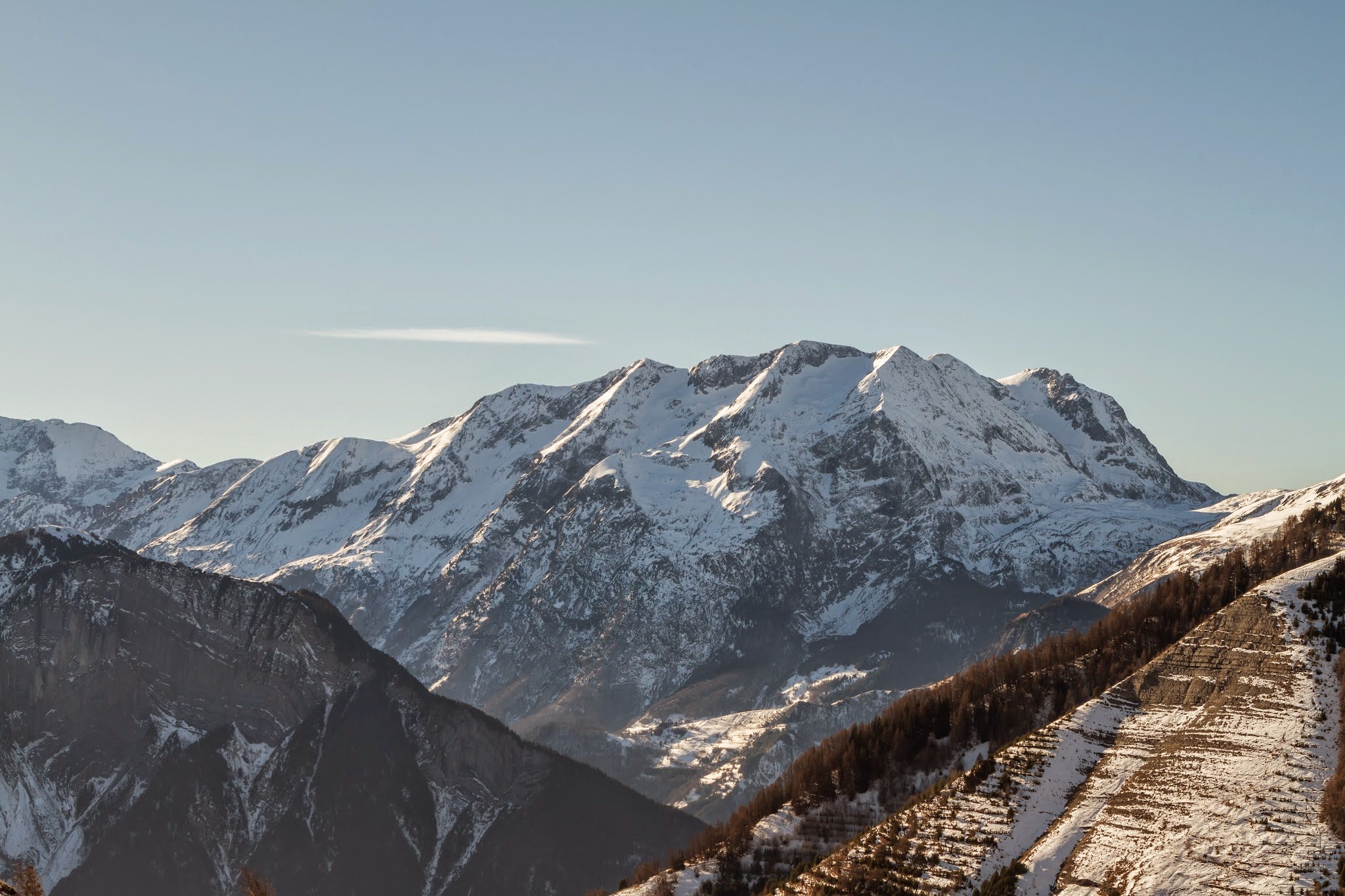 Royal_Ours_Blanc_Alpe_Huez