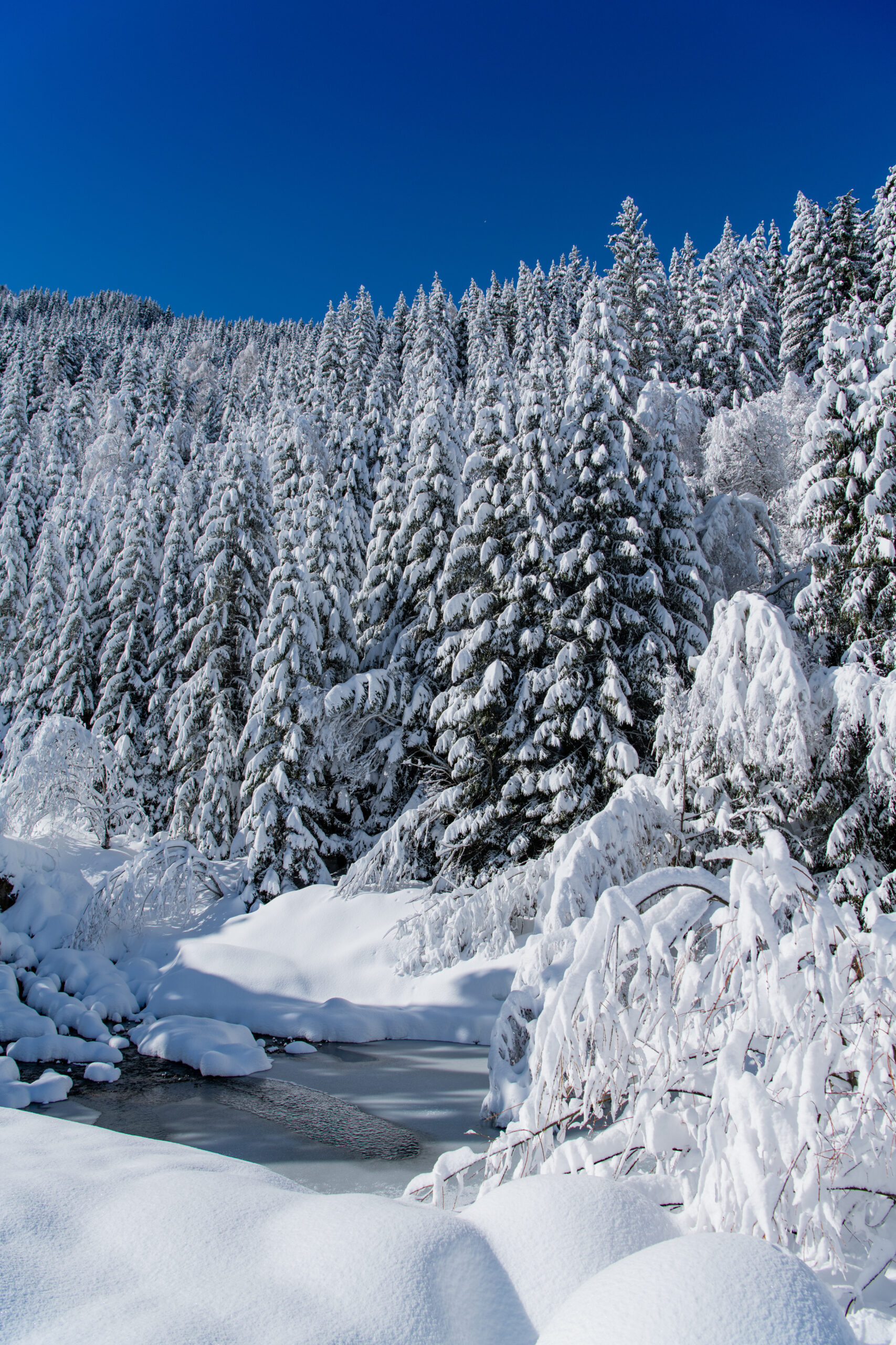 Balade des Gorges de Sarenne_Alpe d'Huez